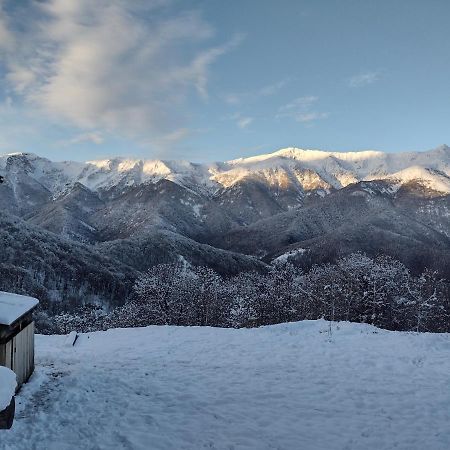 Bed and Breakfast Le Baite di Baudinet - Trek&Relax à Chiusa di Pesio Extérieur photo