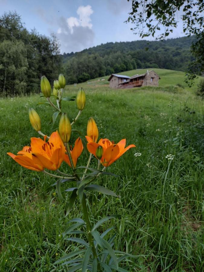 Bed and Breakfast Le Baite di Baudinet - Trek&Relax à Chiusa di Pesio Extérieur photo